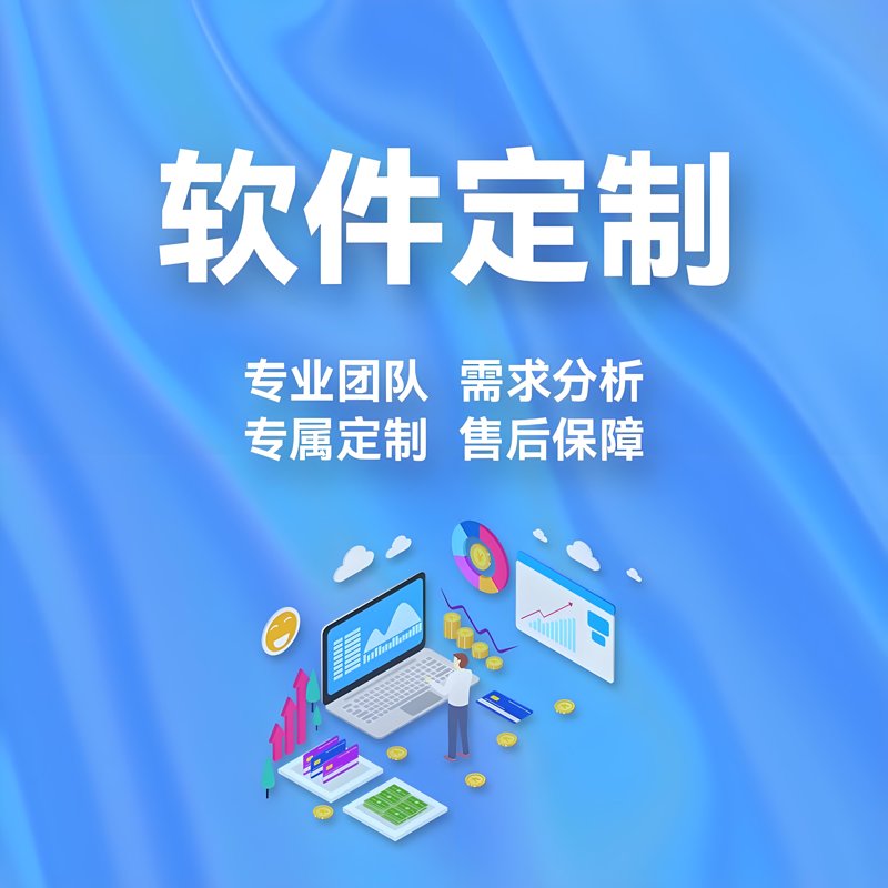 软件定制开发：构建企业数字化转型的关键阶梯