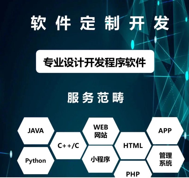 软件定制开发:企业成长的加速器